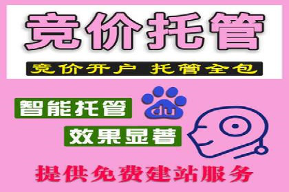 百度竞价广告运营的技巧与误区：成功案例解析